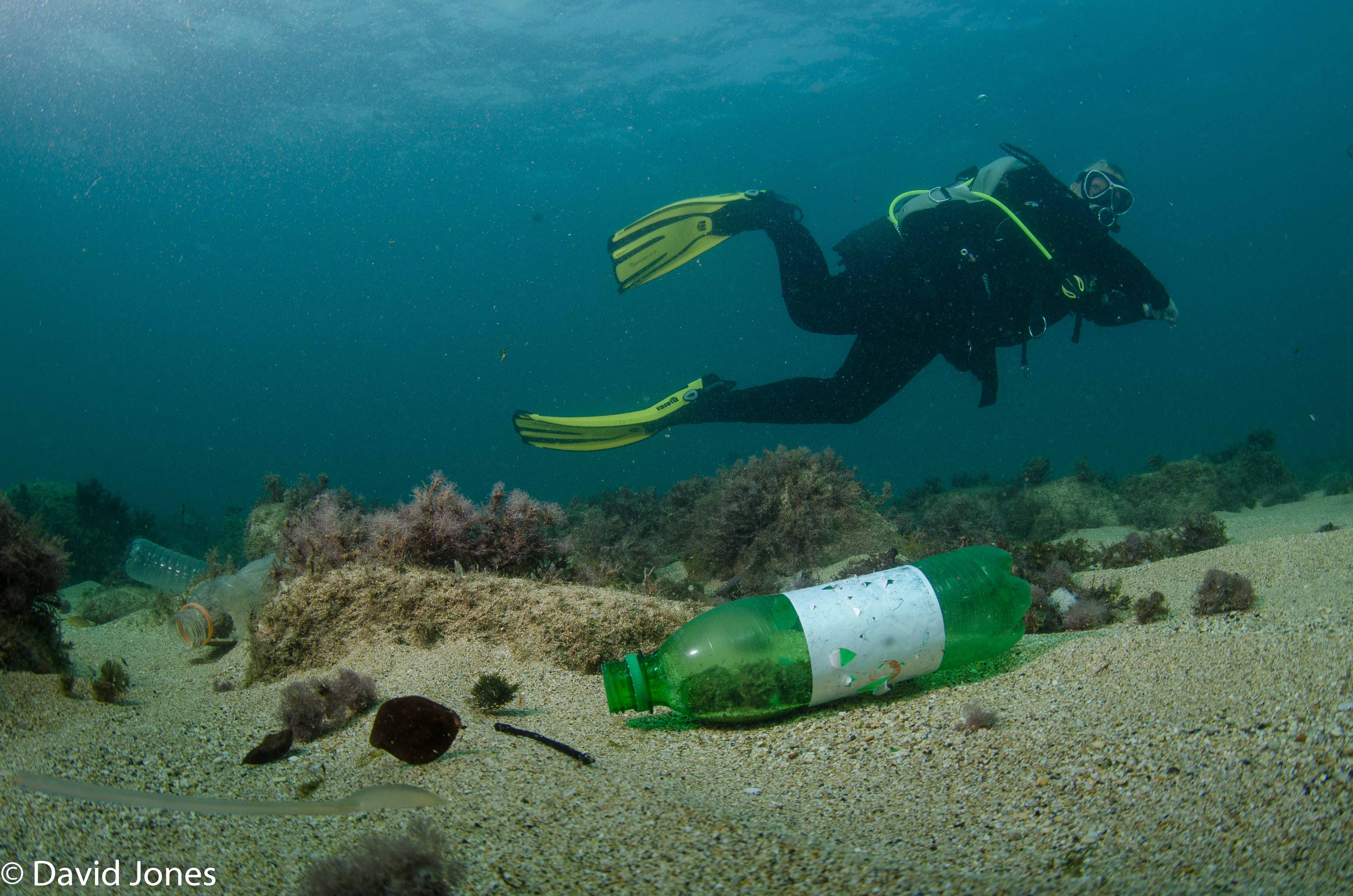 Testing the degradation of bio-plastics in the marine environment – are we missing the point?
