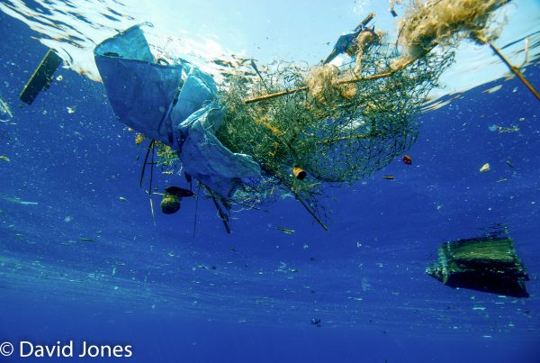 Plastic waste and nets in the ocean - Sri Lanka