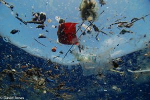 Plastic Pollution floating on the surface
