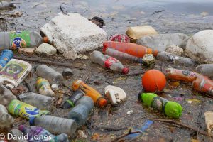 Plastic pollution floating in a river