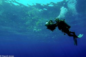 Sri Lanka - diver filming pollution