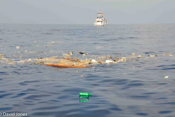 Sri Lanka - plastic pollution