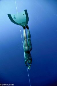 freediver heading down_