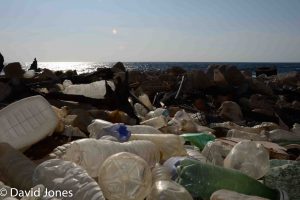 plastic washed ashore