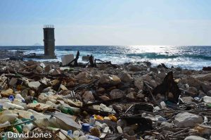 plastic washed ashore in france