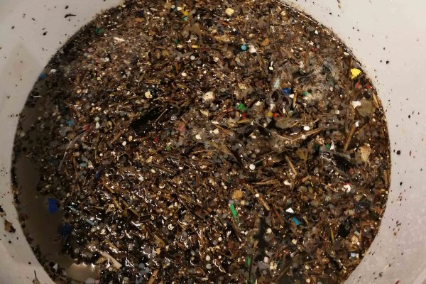 microplastics in a bucket of sea water