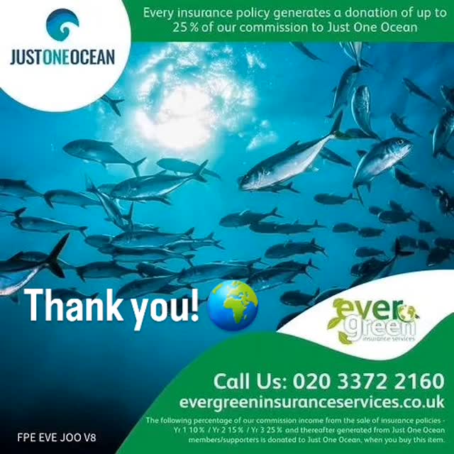 Support like this is essential for us to be able to do our work. Thank you @evergreeninsuranceservices ❤️