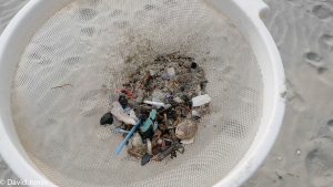 Microplastics in a sieve