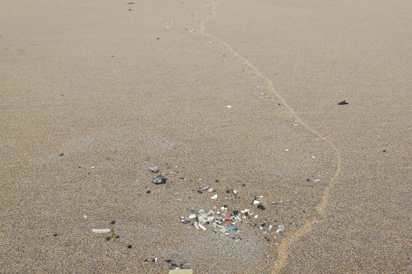 Microplastics following a waveline in the sand