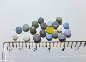 microplastic analysis