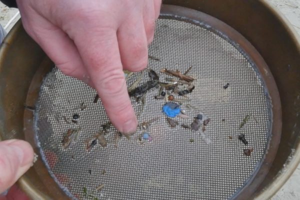 microplastic pieces in the sieve