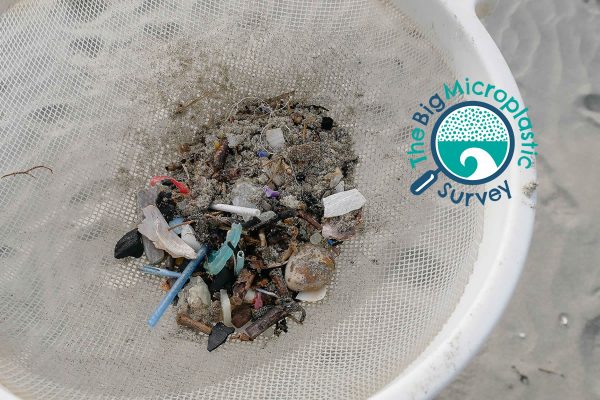 microplastic survey home page