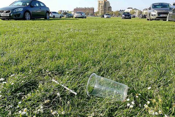 plastic cup on the common