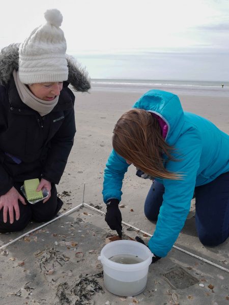 surveying microplastic west wittering
