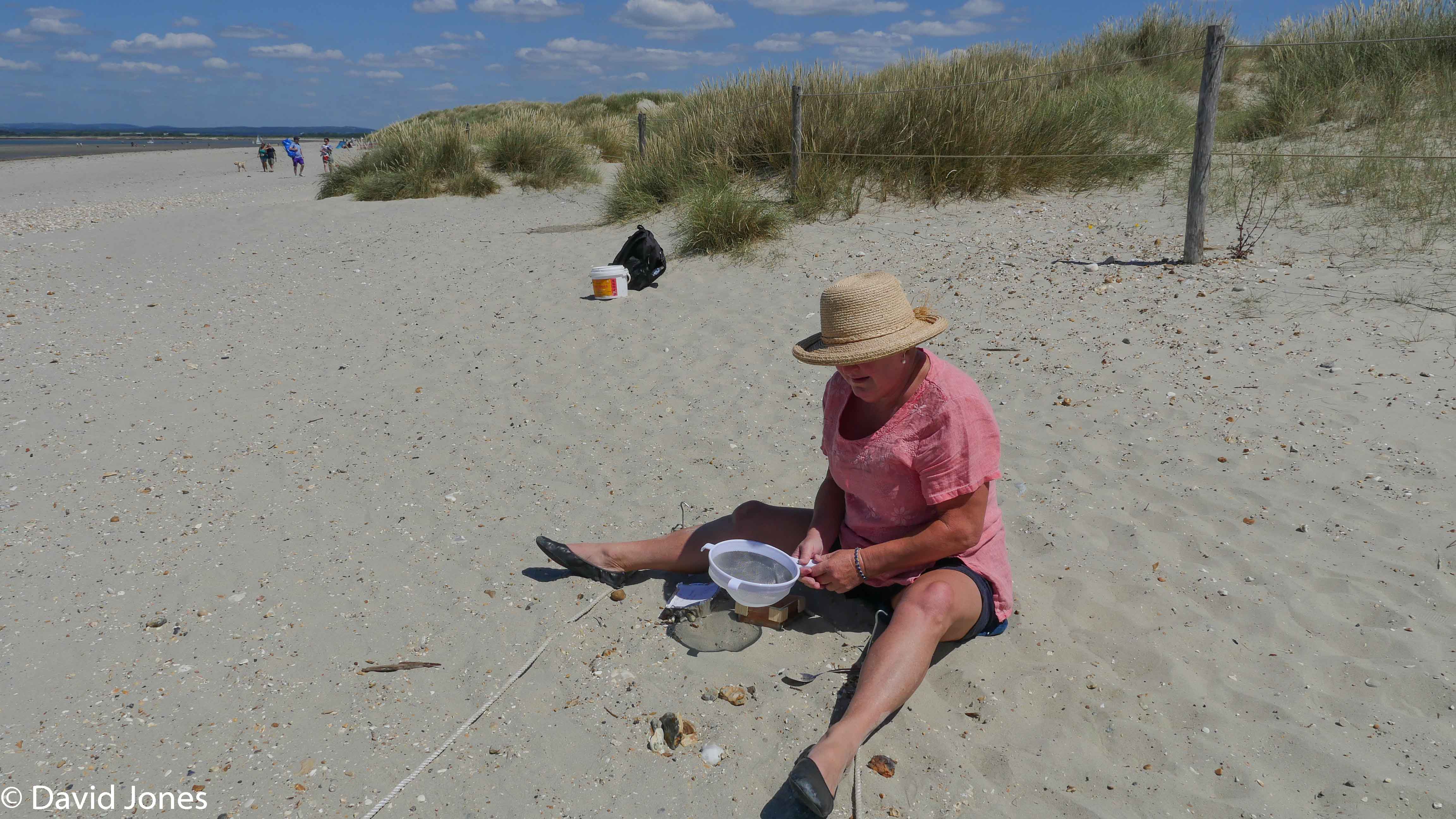 undertaking a survey on the beach with a sieve