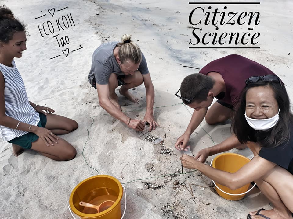 Eco Koh Tao join our microplastic survey