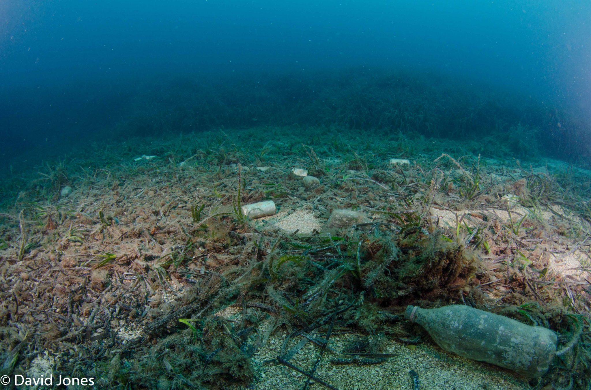 New Map Reveals Extent Of Ocean Plastic Just One Ocean