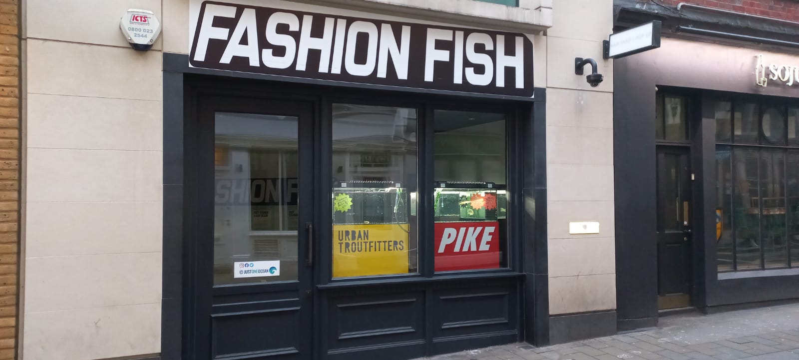 Fashion Fish Store is Open