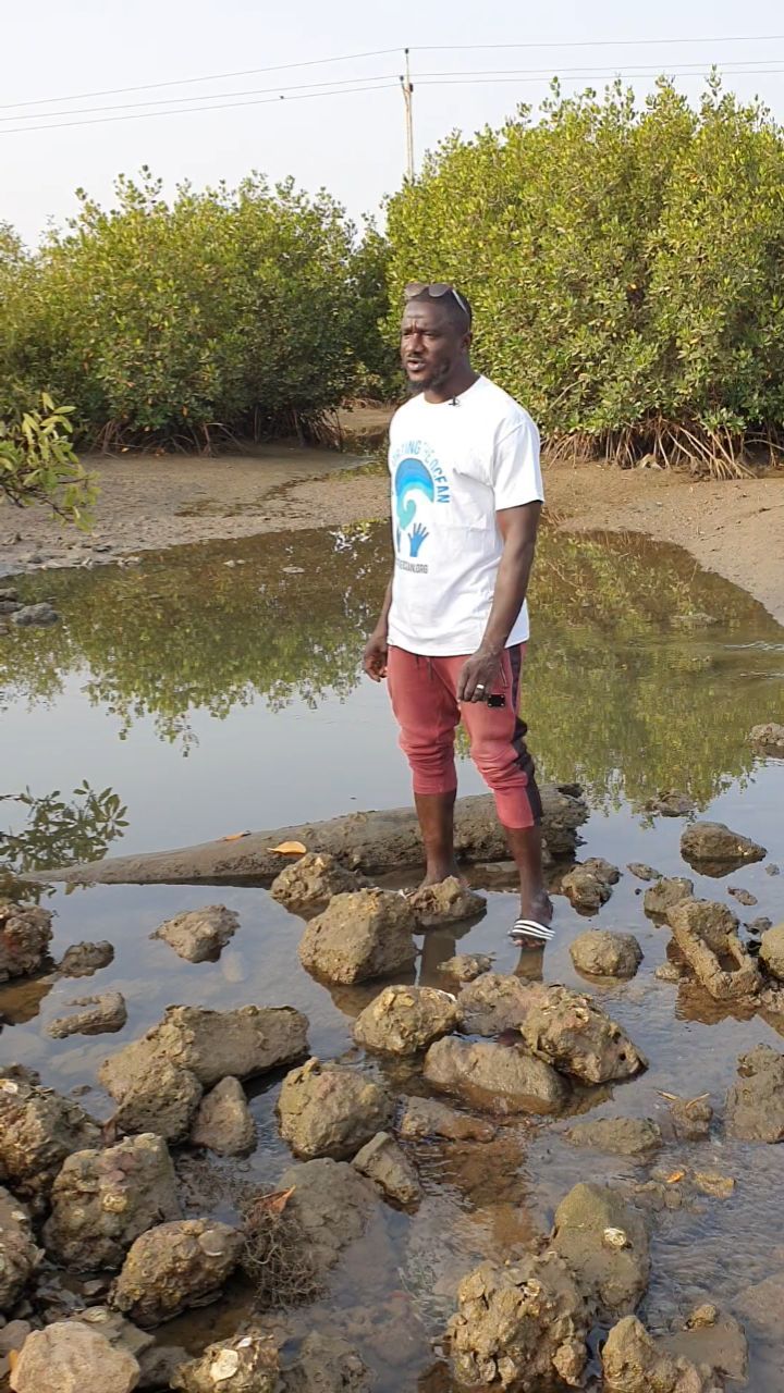 Tanbi Wetlands - The Gambia - Buba, a park ranger, explains why mangroves are so important and what his job entails.